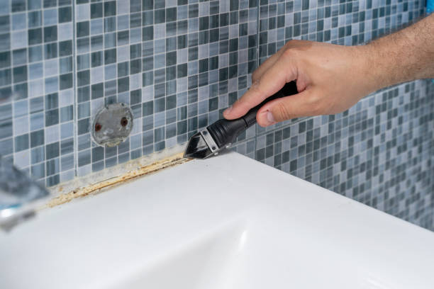Best Industrial Mold Remediation in Cheboygan, MI