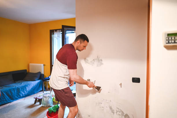 Best Health and Safety Mold Remediation in Cheboygan, MI